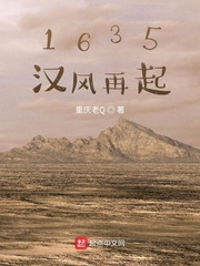 1635汉风再起封面
