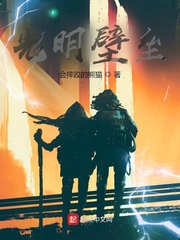 光明壁垒封面