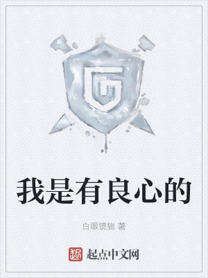 我是有良心的封面
